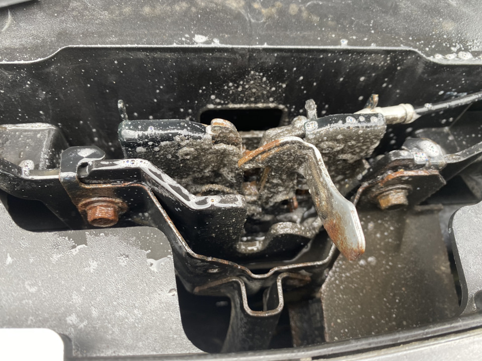 Мийка двигуна та знімання жабо! Про EVA килими та кульових TRW 4