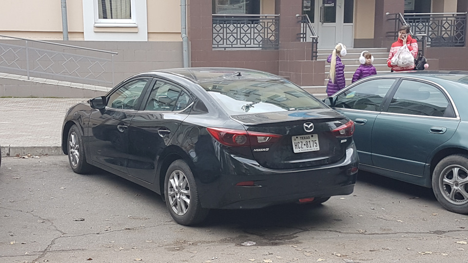 День п'ятий: ще одні покотушки 4