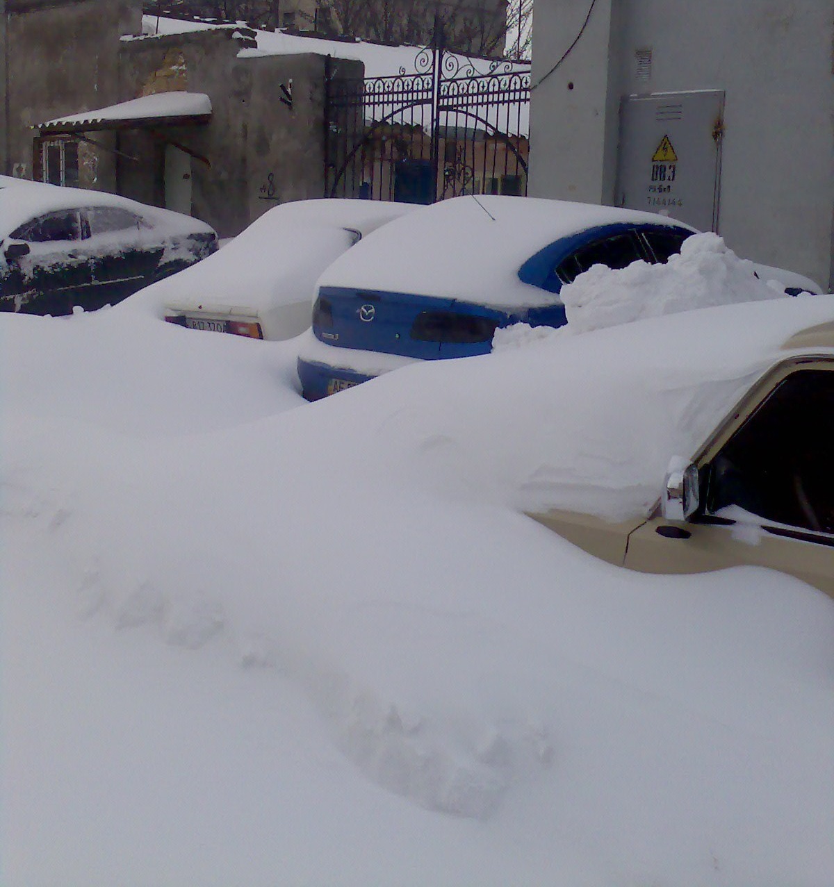 Трохи сніжка :) 3