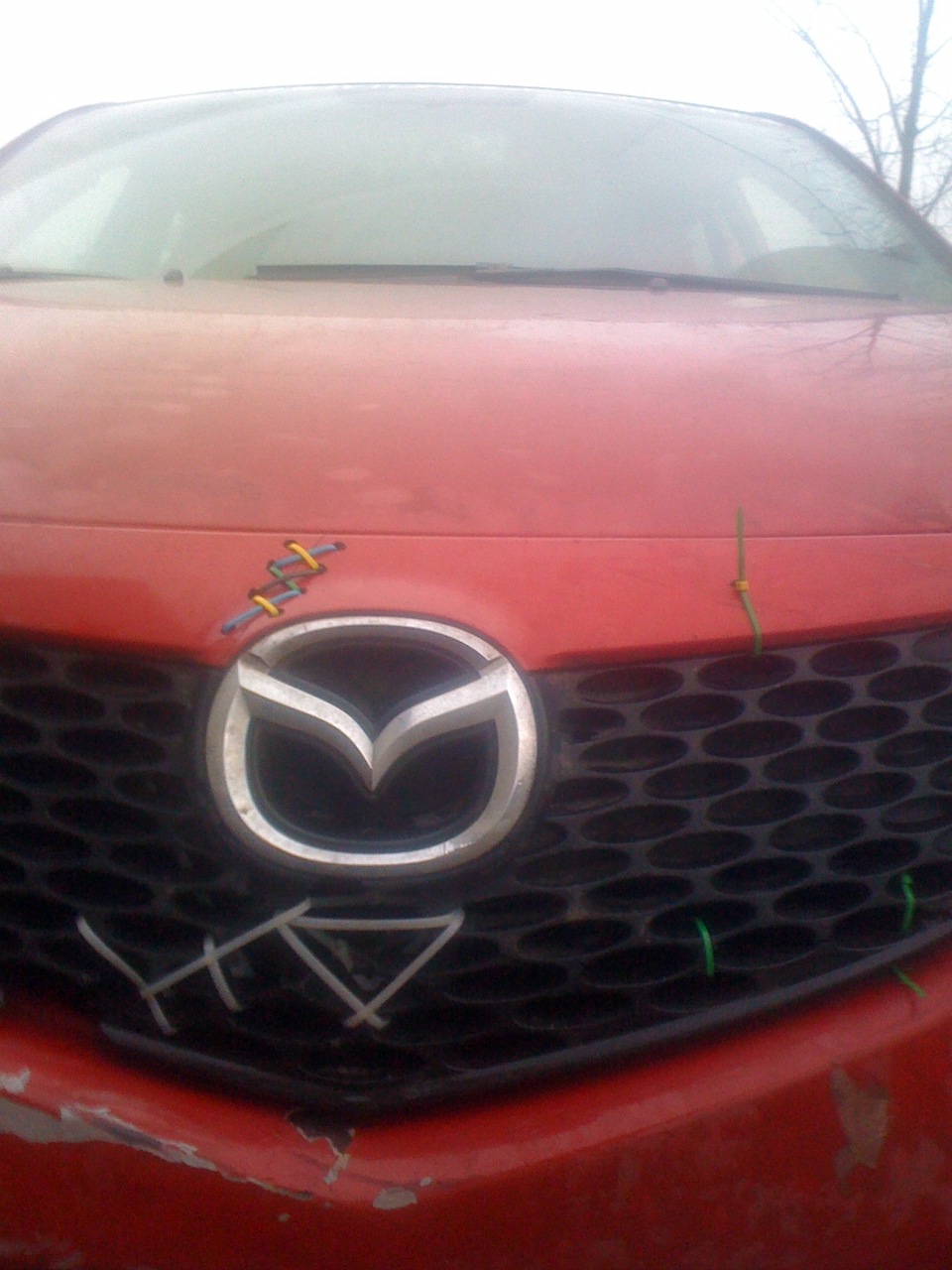 Zip Tie 5