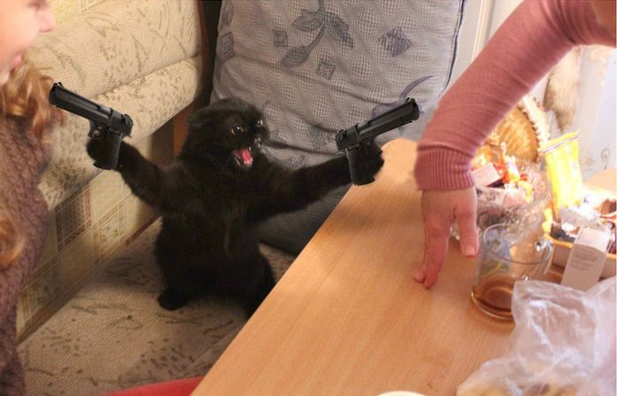 Кот под капотом 1