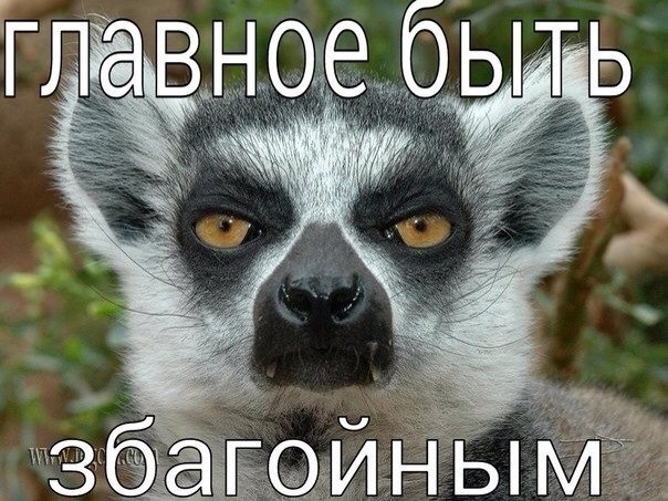 Тест на стиль вождения 1