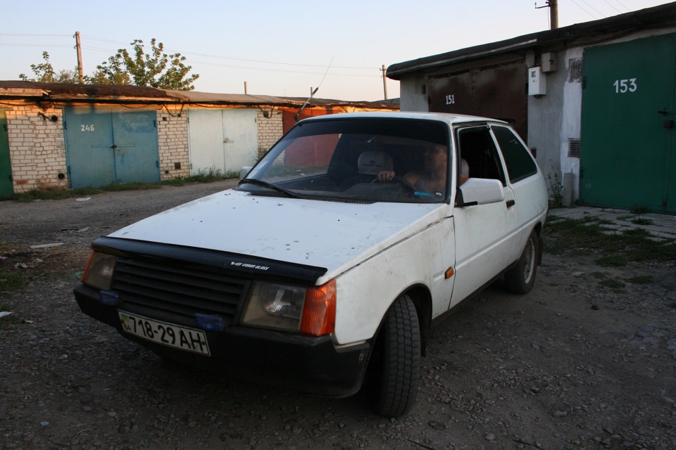 таврончик 4
