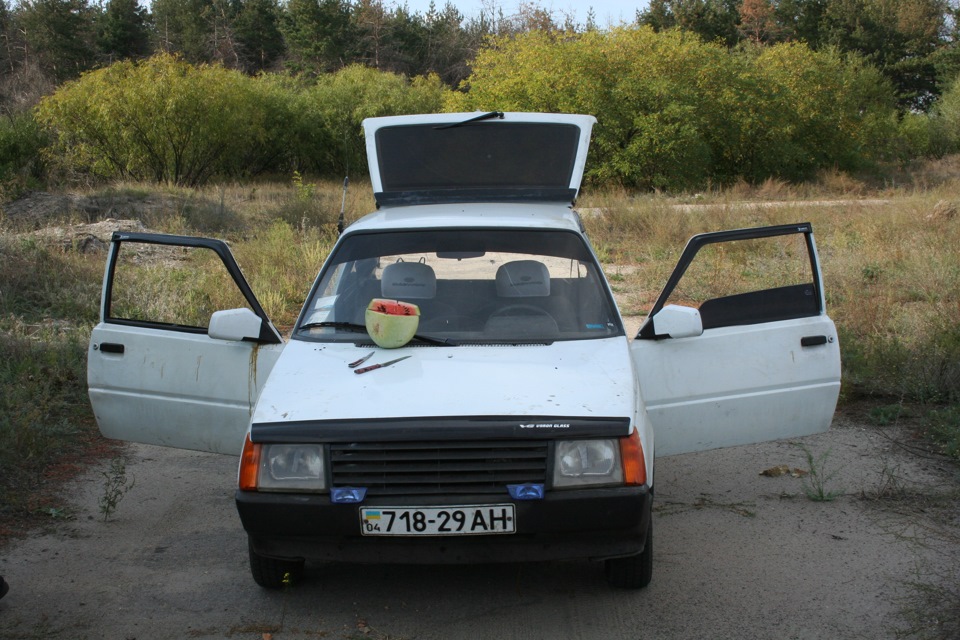 таврончик 2