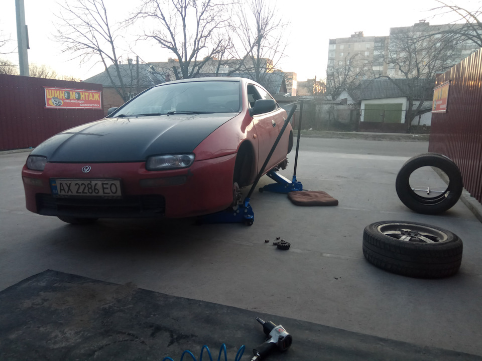 Потепліло! Пора перевзутися! 3