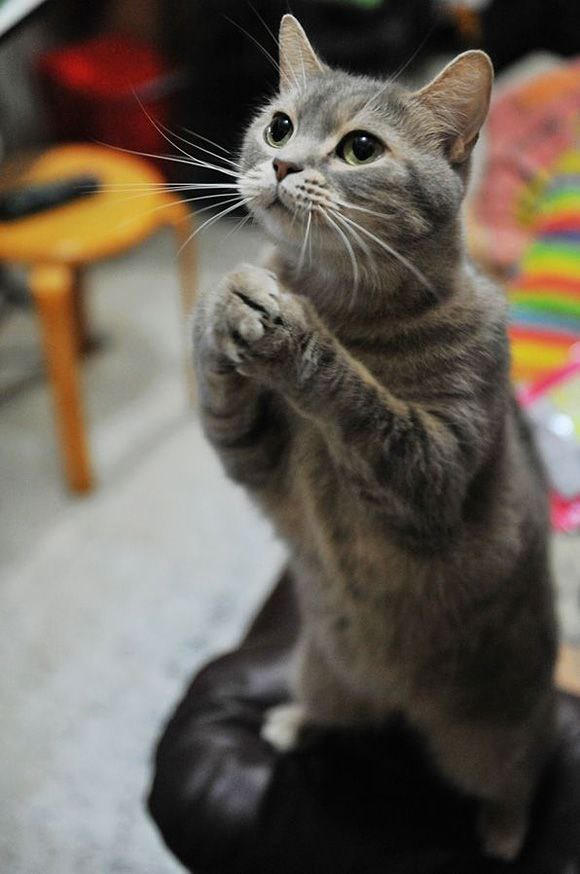 Ахтунг! Атеншн! SOS! HELP! HILFE! Допоможіть! 1