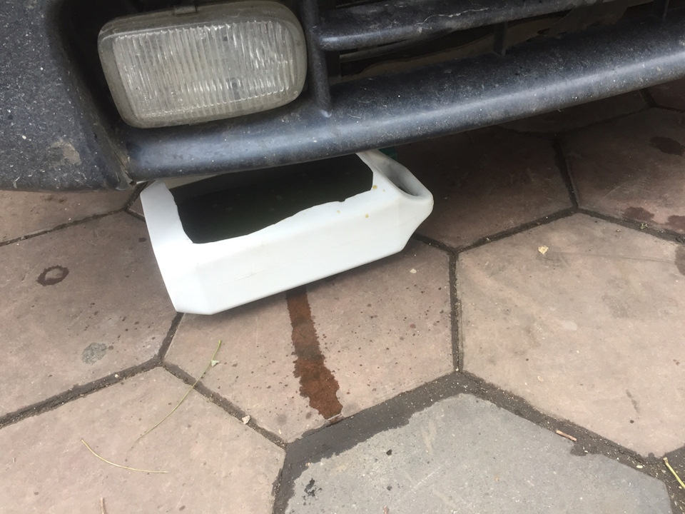 Термостат собака… дубль три… 2