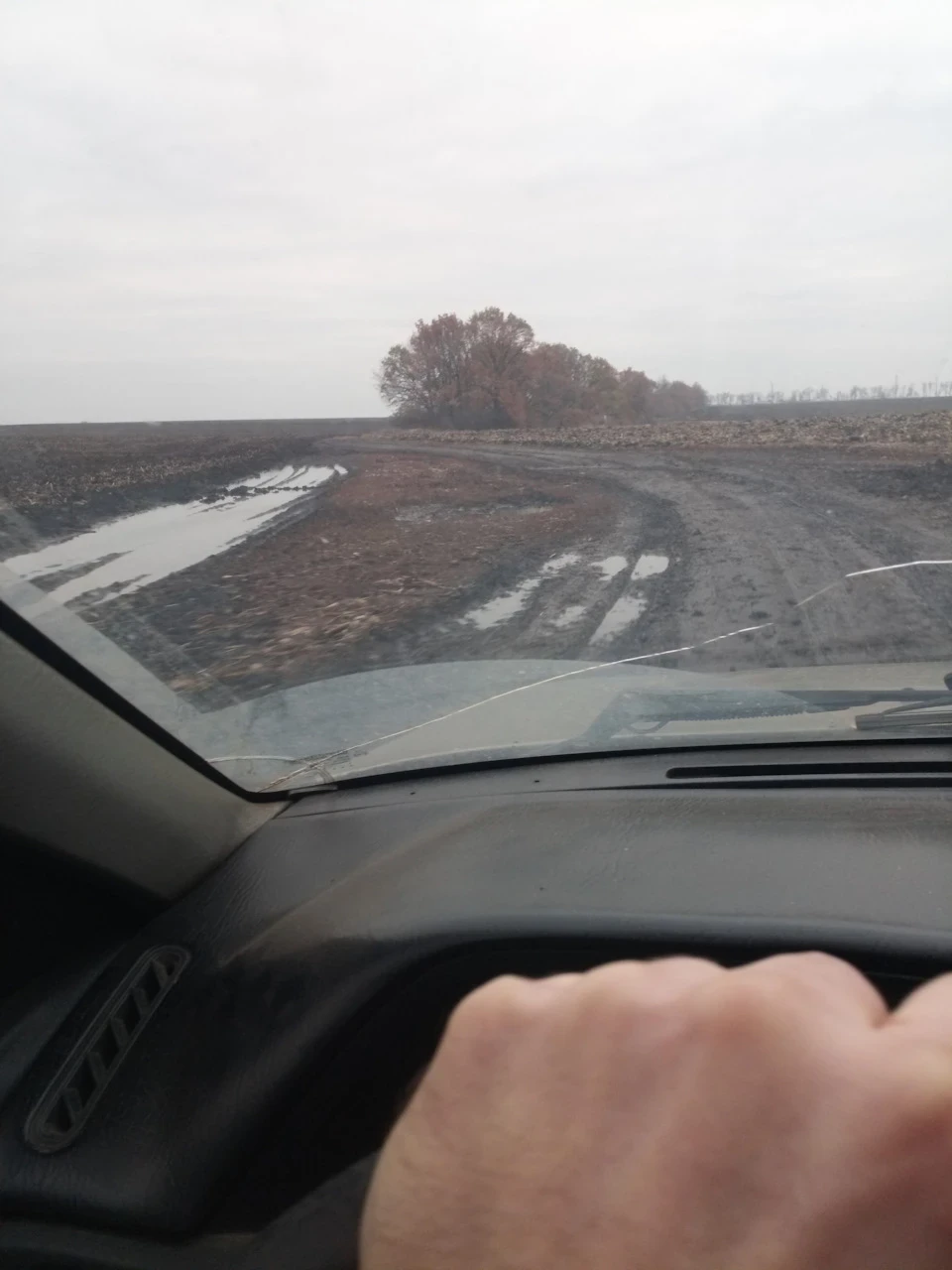Зимові шини.