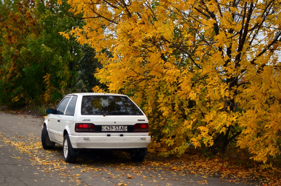 Осінній фотосет 4