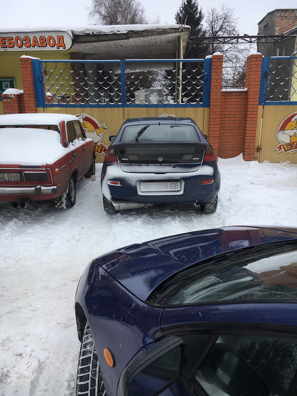 Зустріч з братиком 2