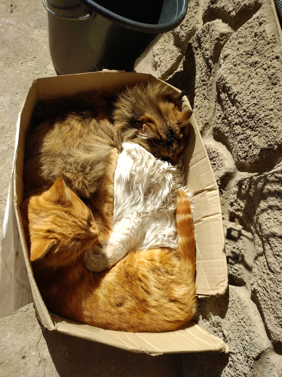Опори стійок