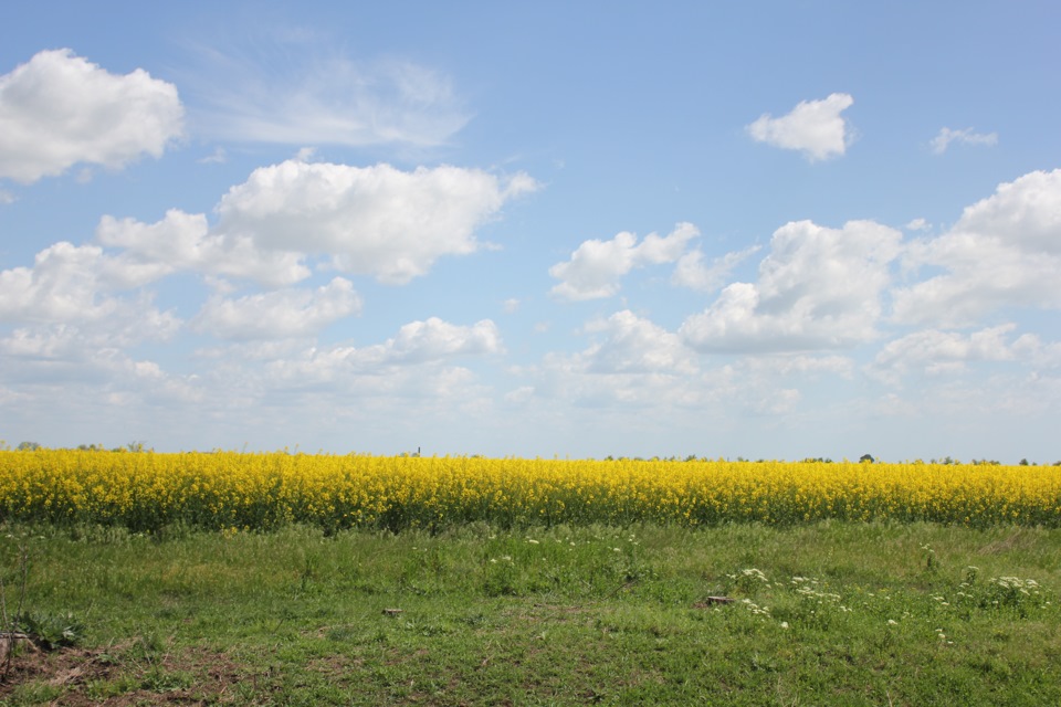 Львів - Кам'янецьПодільський - БілгородДністровський - Вилкове - Львів 3