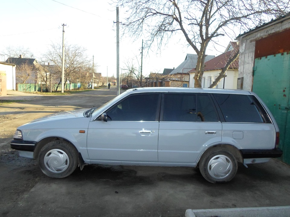 Картина Пливіна Приріпали . 5