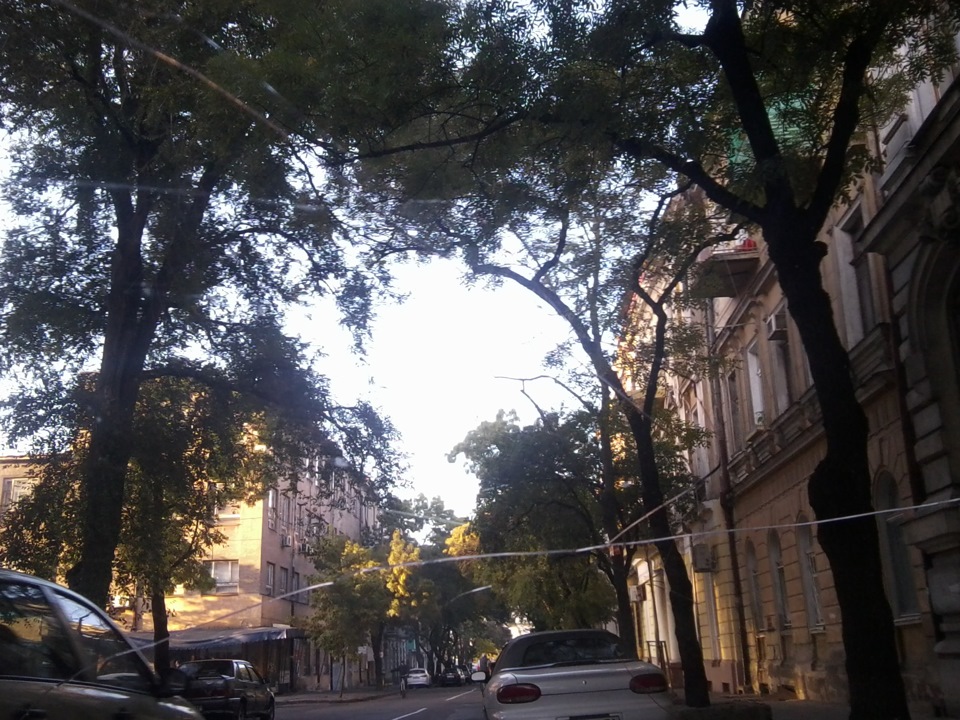 змінив лобове скло 1