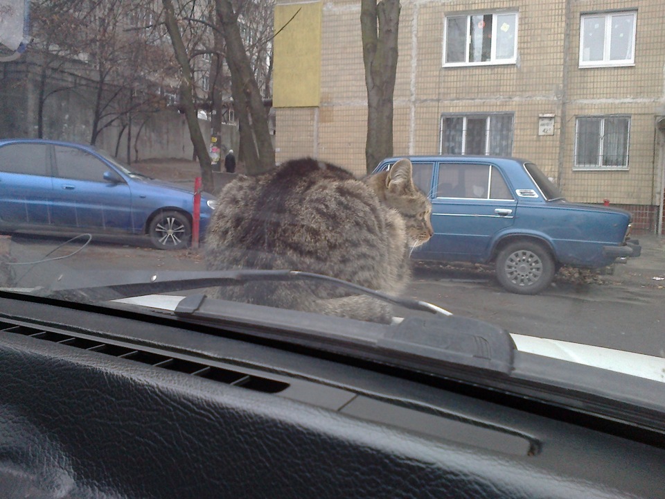 Аерографія і новий знак Мазда =) 4