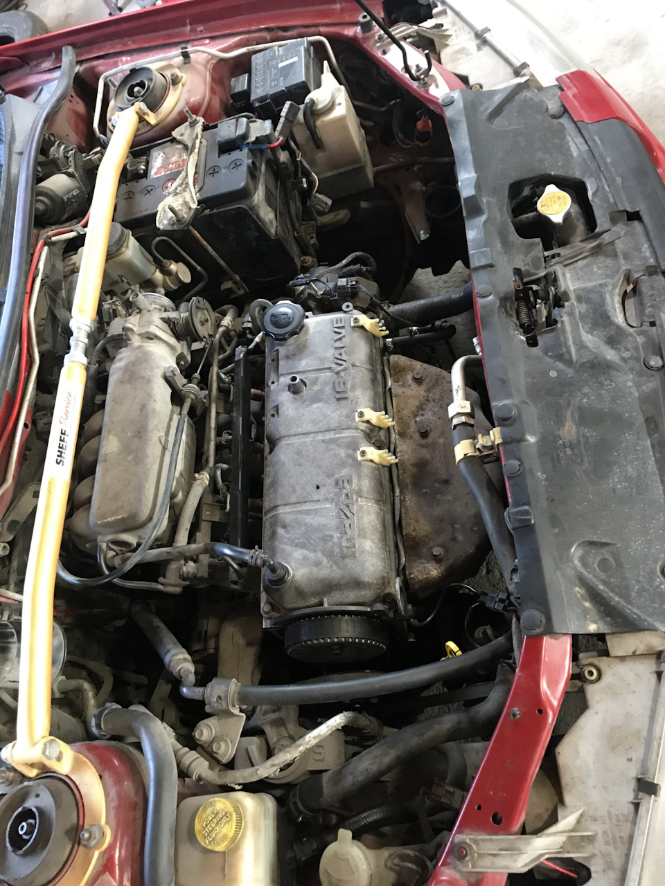 MAZDA RIP 2