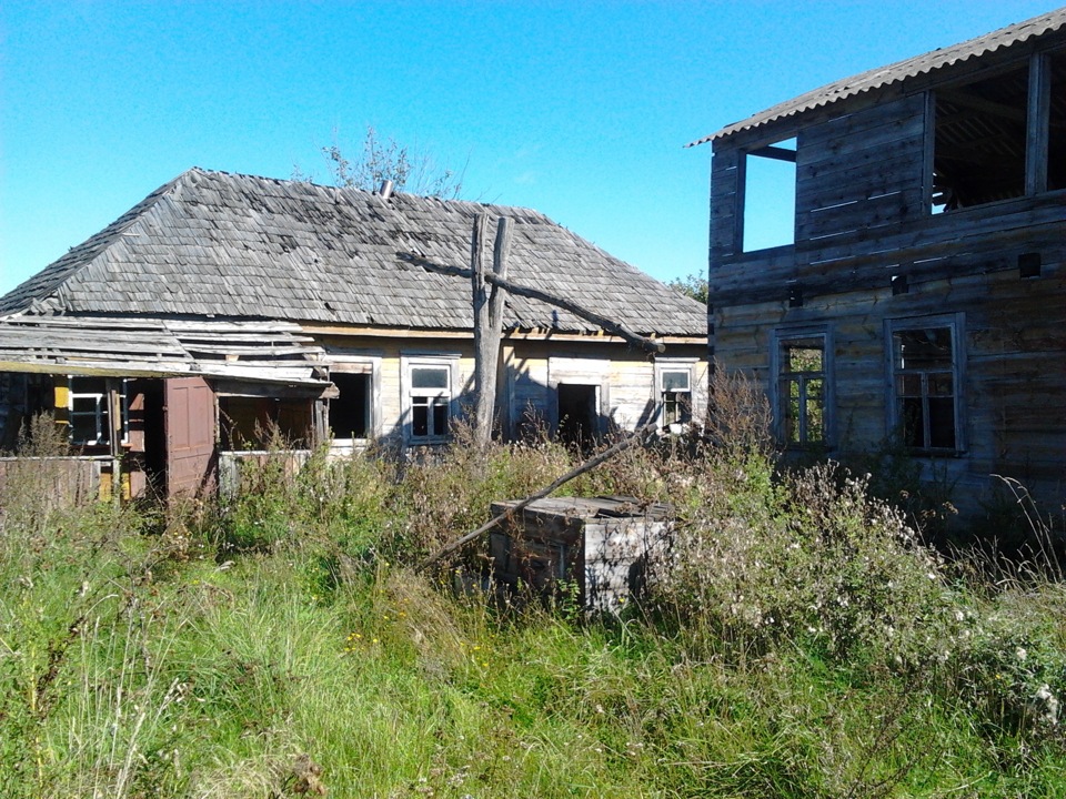 У зоні відчуження 4