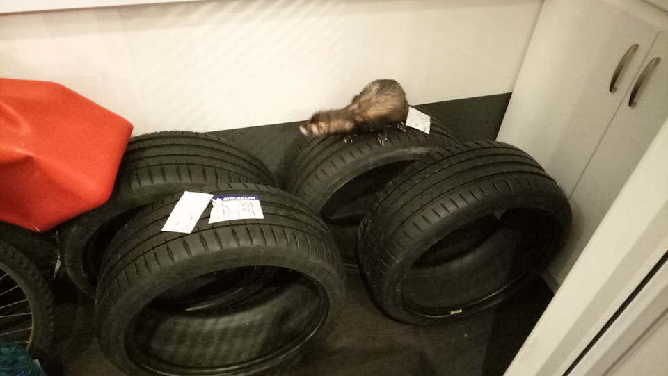 Придбав літню гуму Michelin Pilot Sport PS 4 224/40 R18 92Y 3