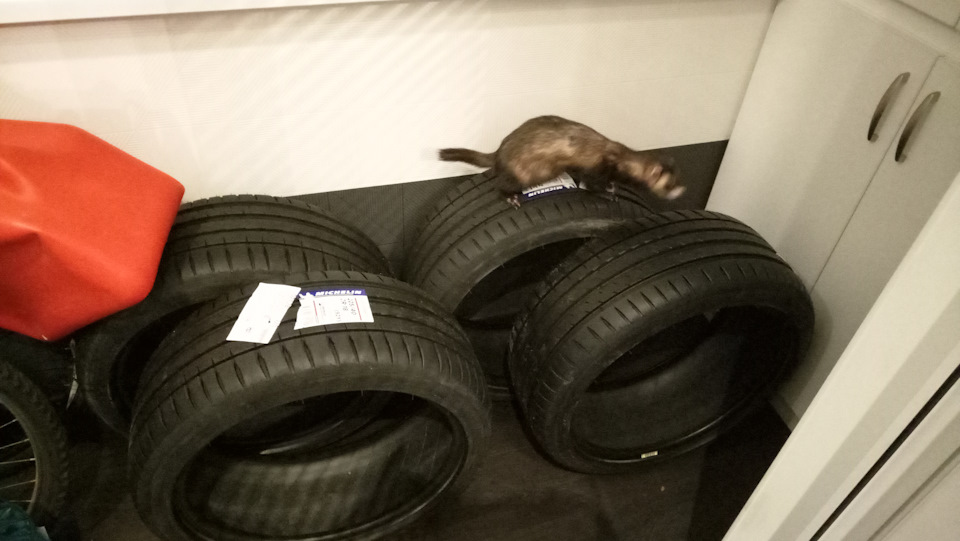 Придбав літню гуму Michelin Pilot Sport PS 4 224/40 R18 92Y 4
