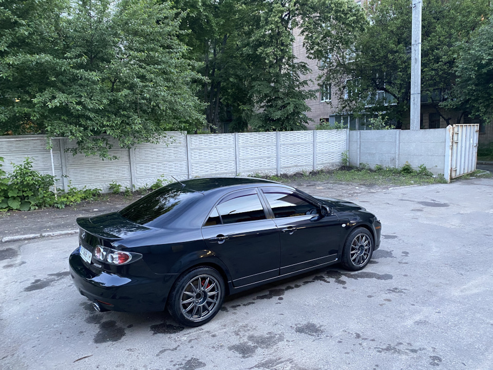2 години на Мийці 💪🏼 4