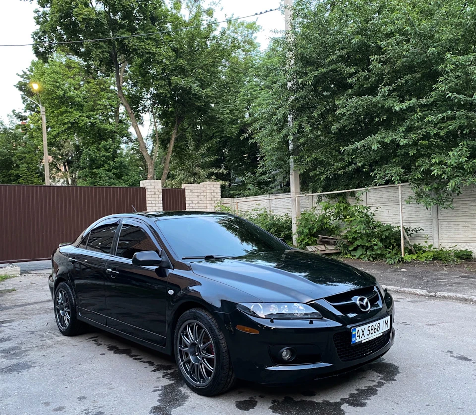 2 години на Мийці 💪🏼