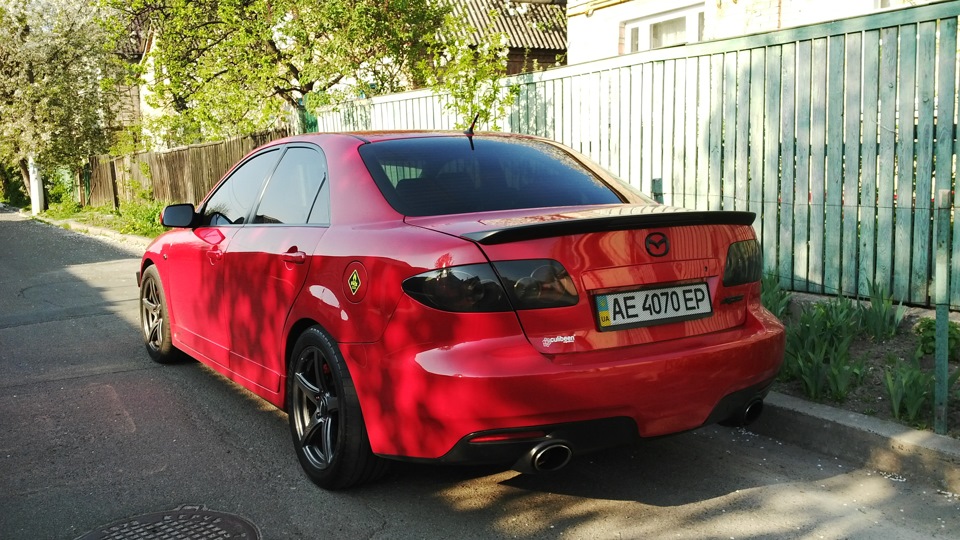 Чорний хвіст! 1