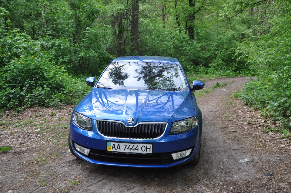 Skoda Octavia Bluedvil 3