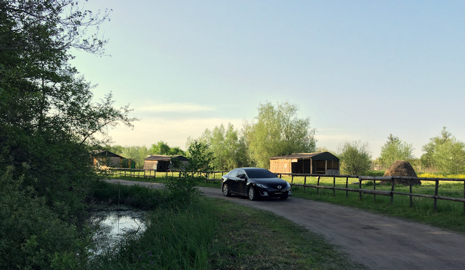 Фото на природе 4