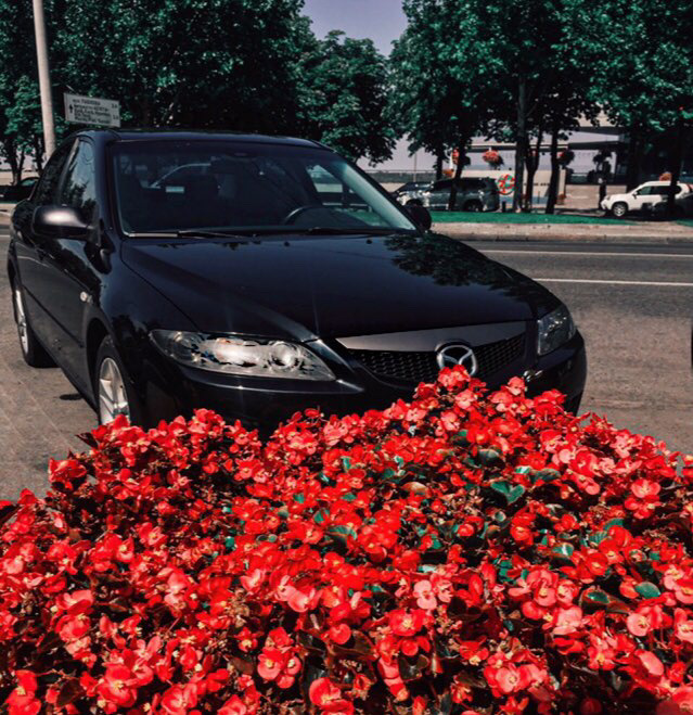 : «Історія». 5