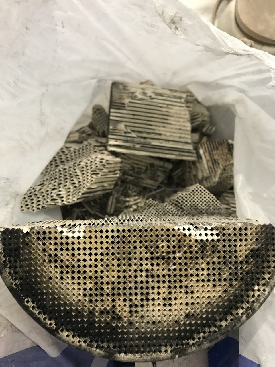 Екологи не зрозуміють 2