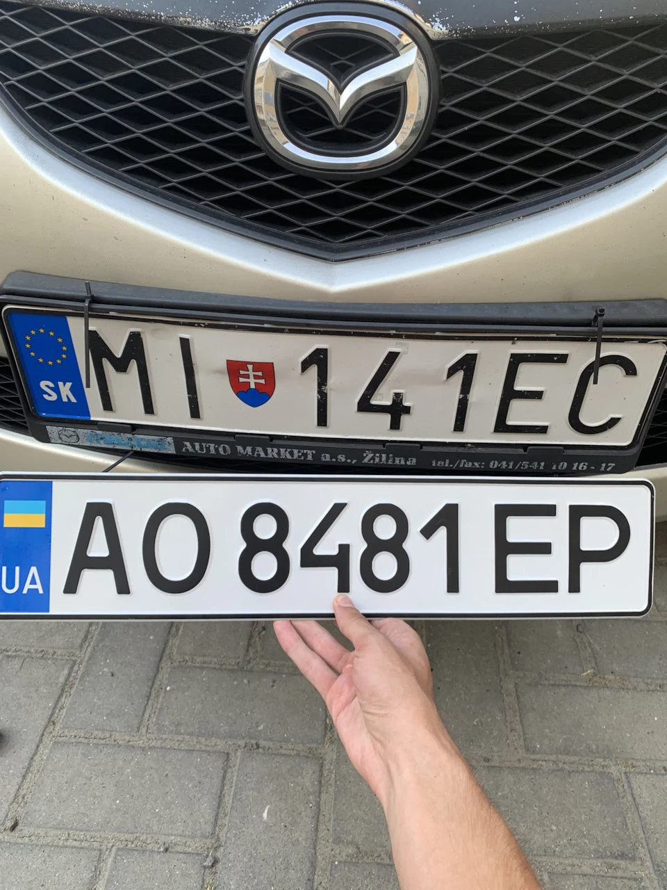 Митниця та МРЕО