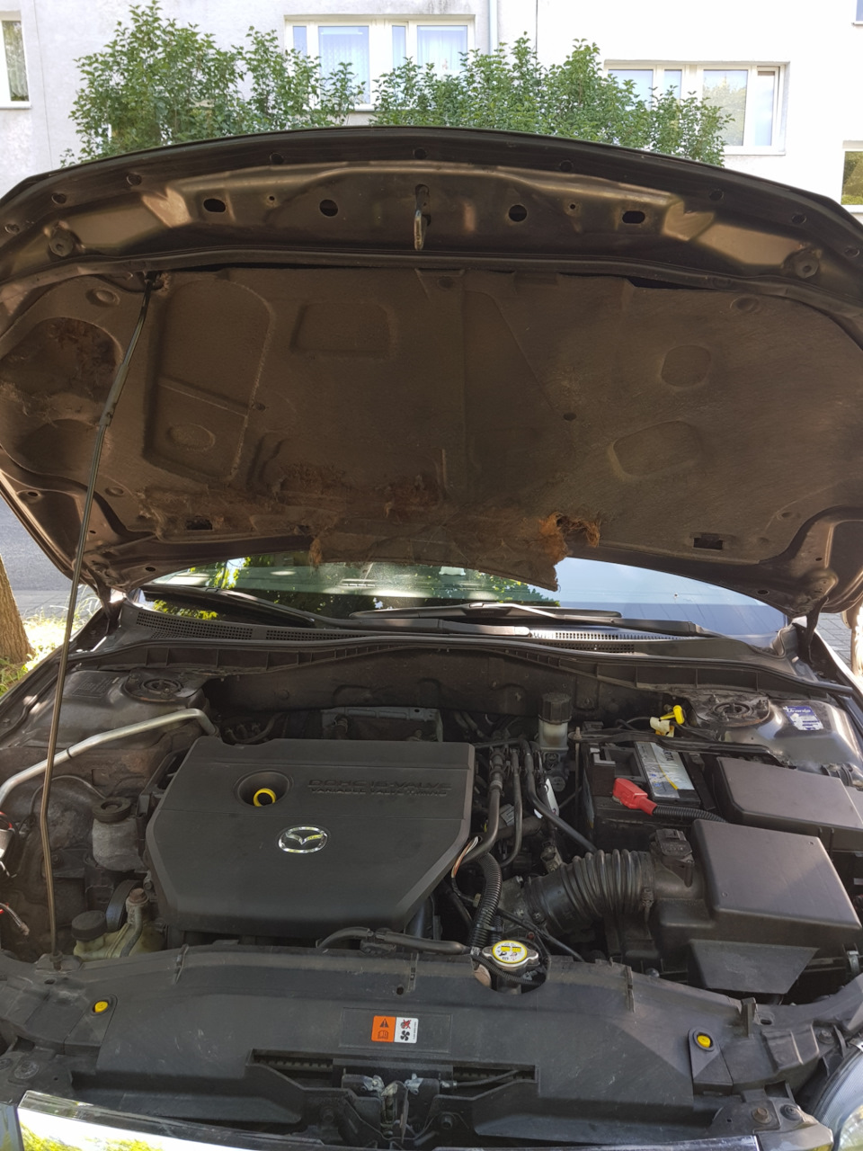 Заміна заводського (утеплювача капота mazda 6gg) 1