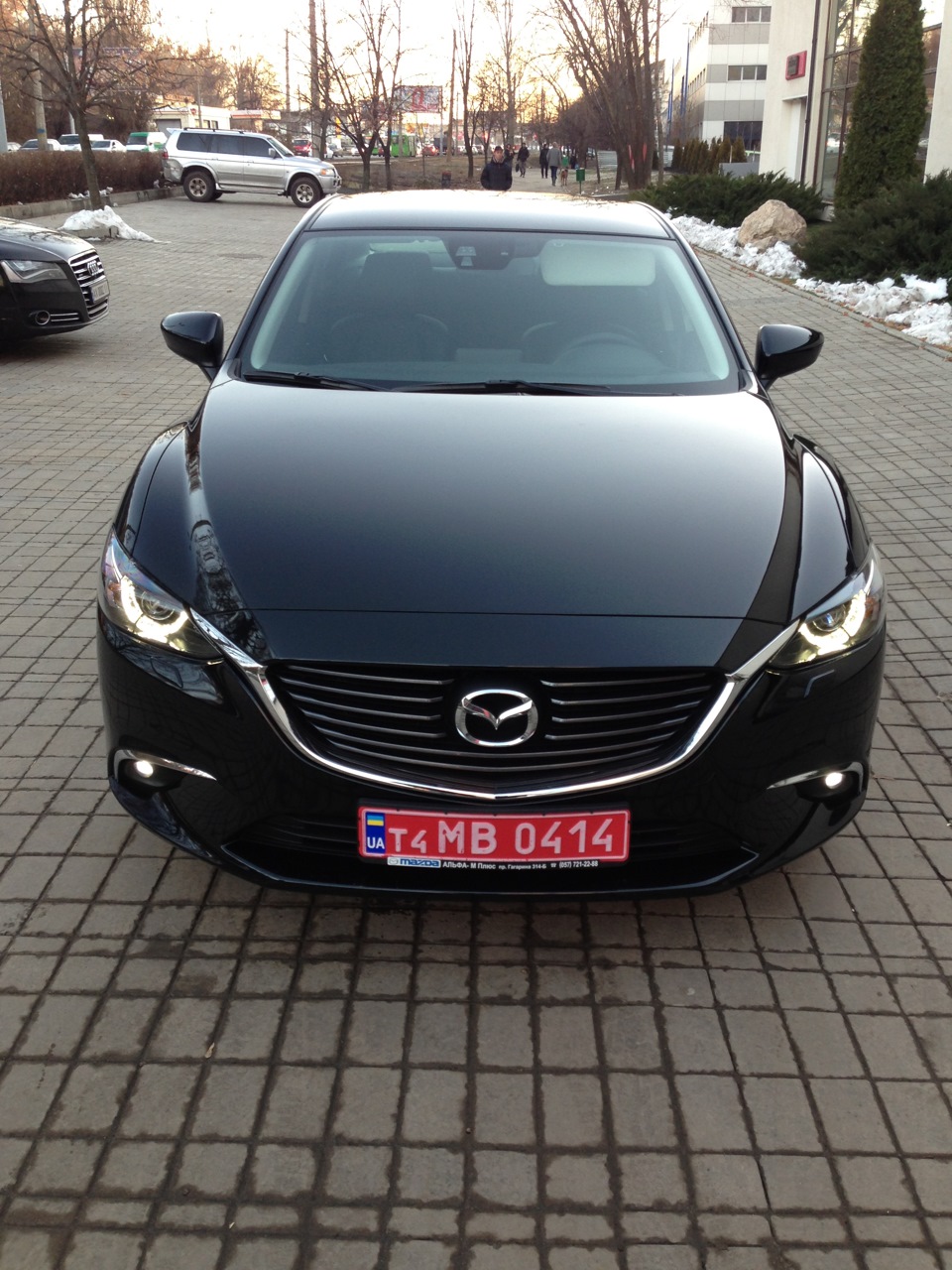 закотив лоб 1