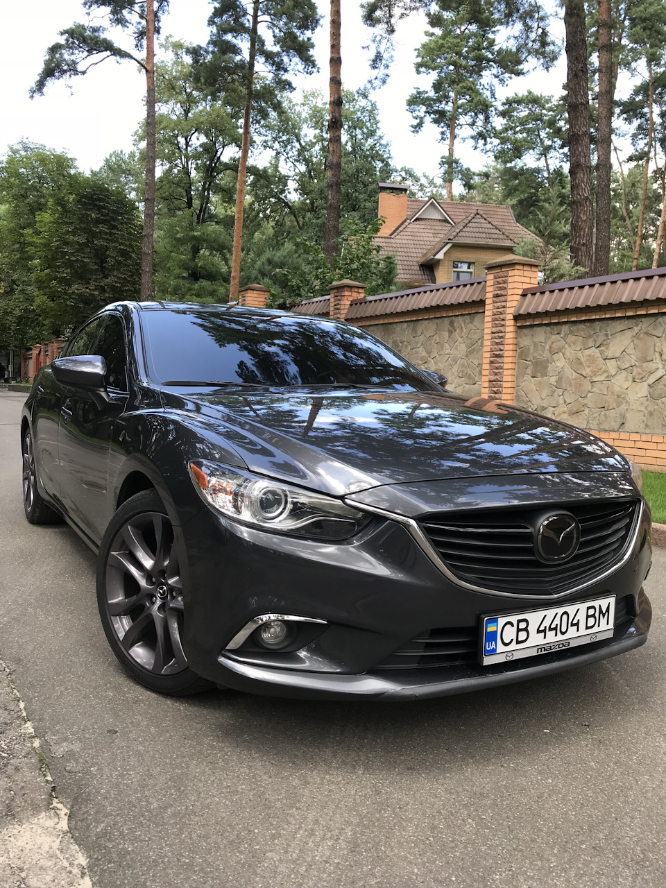 фарбування дисків 4