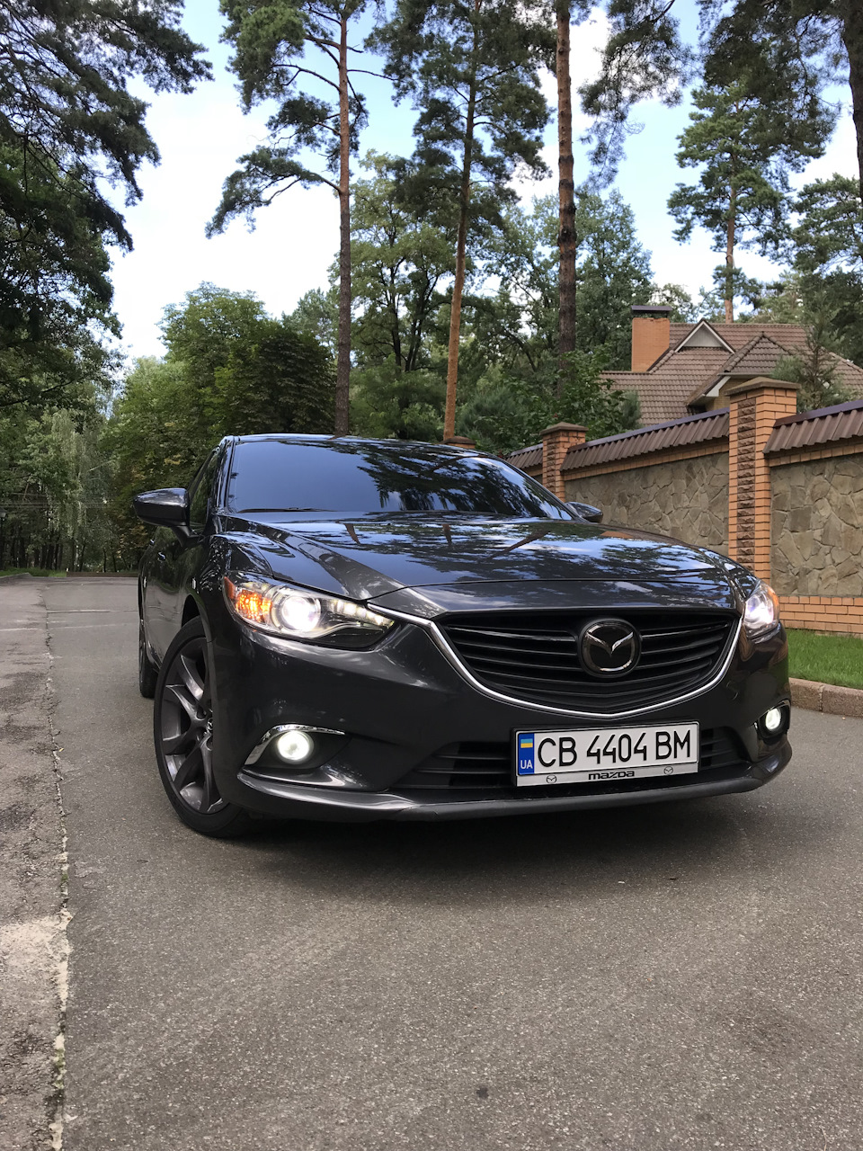 фарбування дисків 5