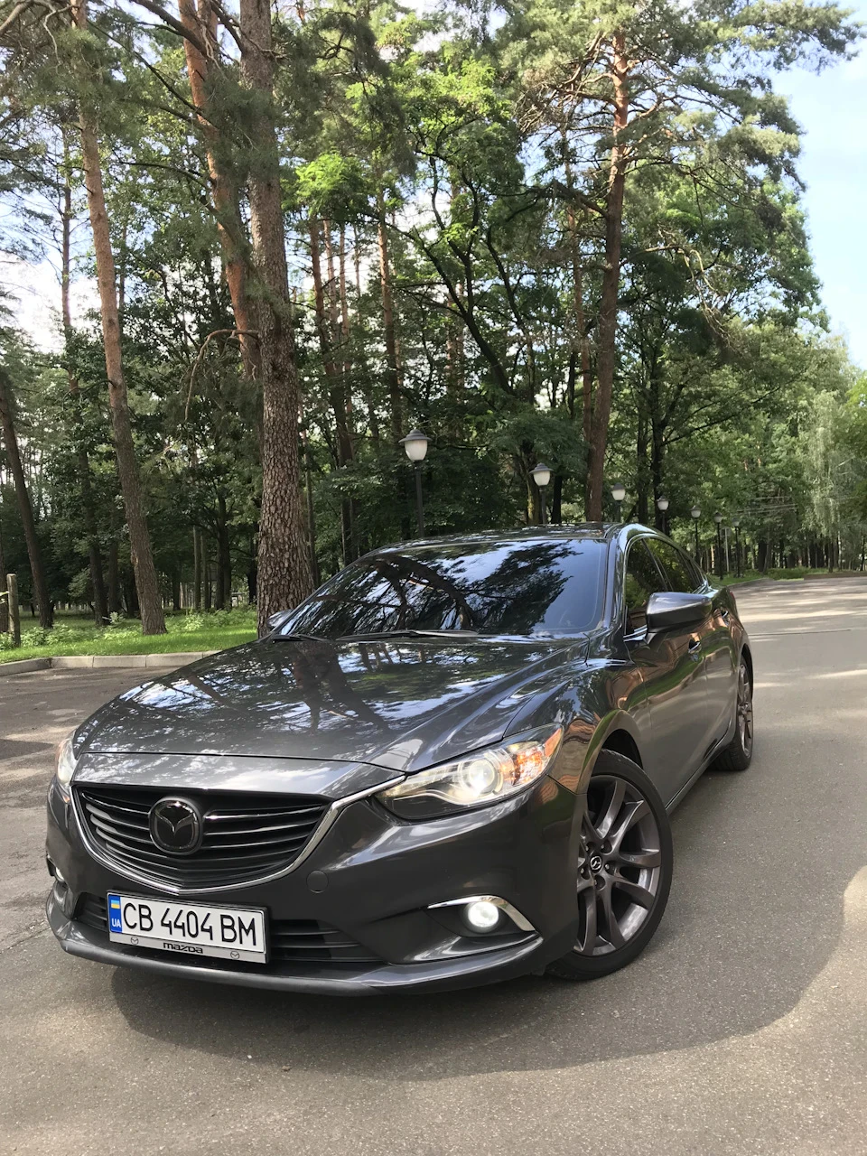 фарбування дисків