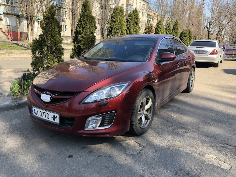 Бардачок з крокодила Частина 1я... 1