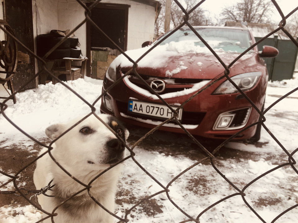 Зима пройшла, майже пройшла... напевно 4