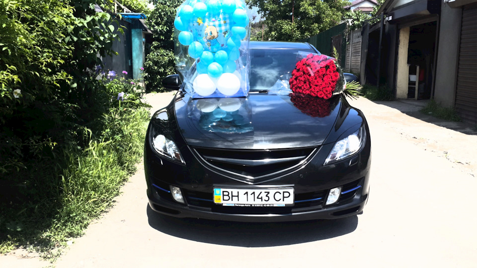 Новий співвласник Буцефалу! 5
