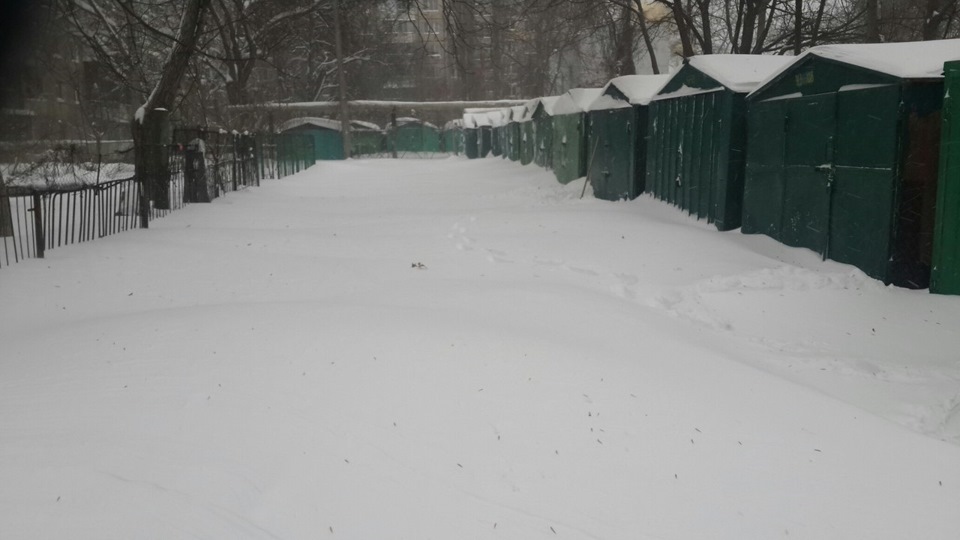 Снігова жерсть 1