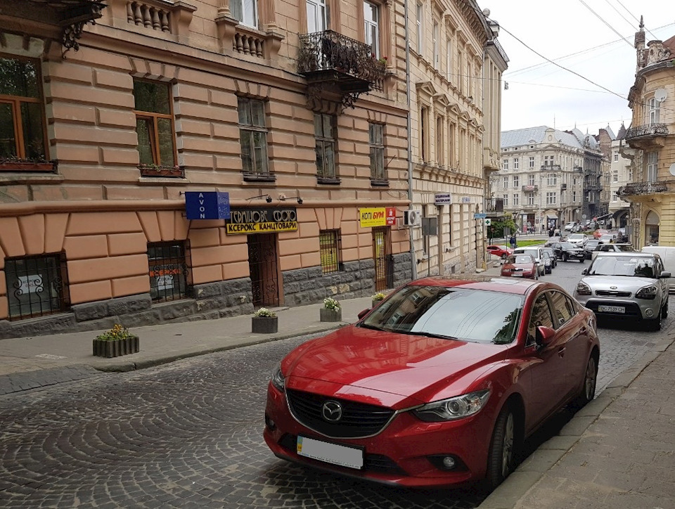а ми все далі ловимо цвіркунів 3