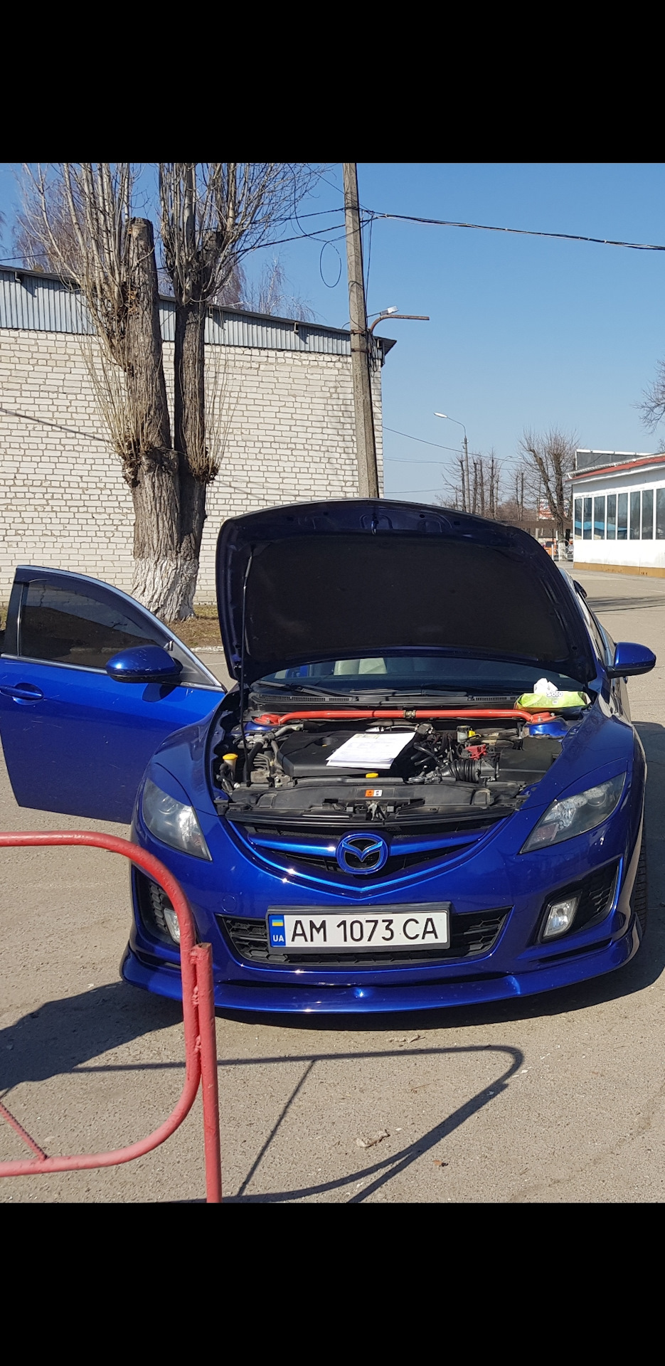 Ну ось і все ... Машка продана 1