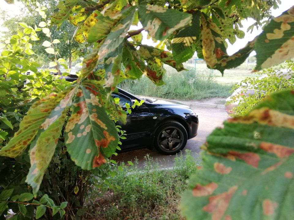 Диски: Lenso D1 8J ET 42. Гума: Hankook Ventus S1 Evo 2 225 45 r17 1