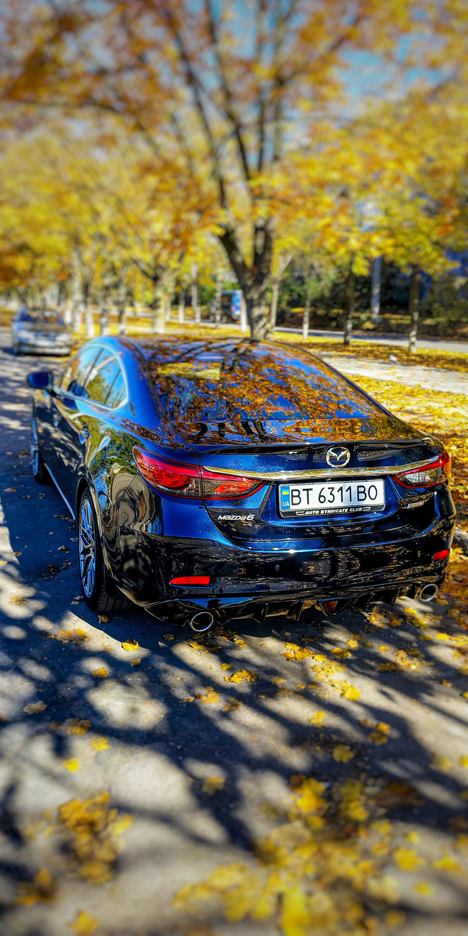 Гарна осінь. 5