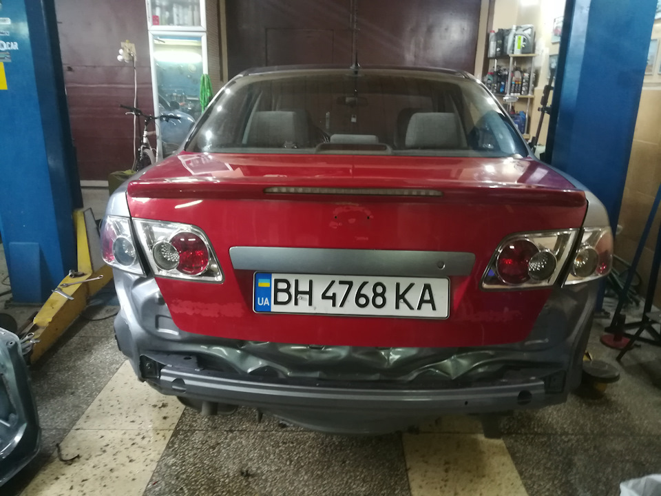 Мопс хвіст. 5