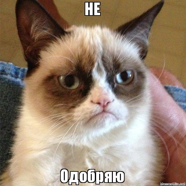 Поговоримо про олію 1