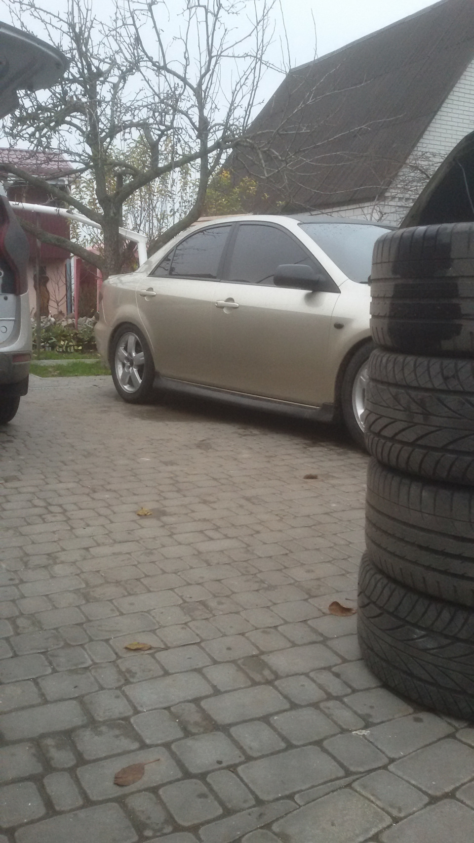 Вдягнув зиму! 5