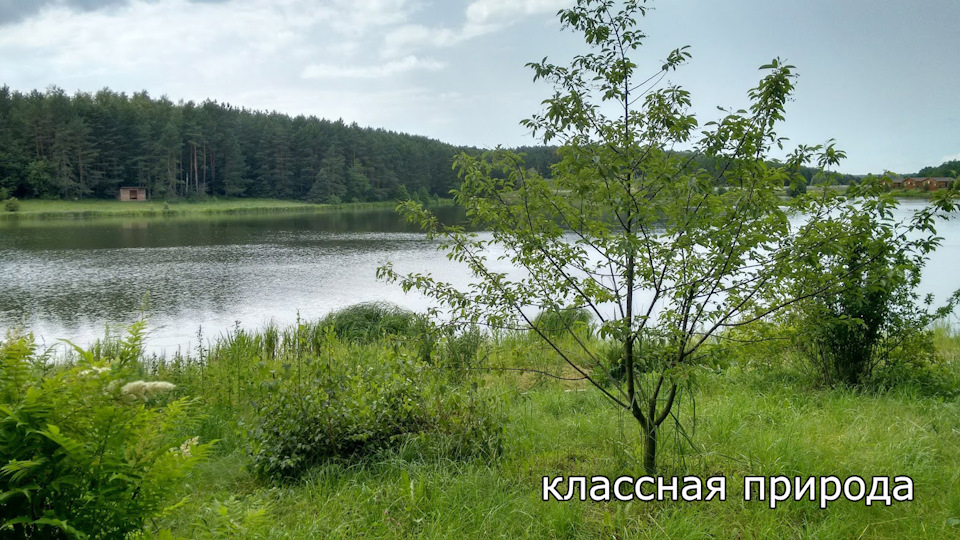 Тяги датчика положення кузова: ремонт + поїздка на природу 4