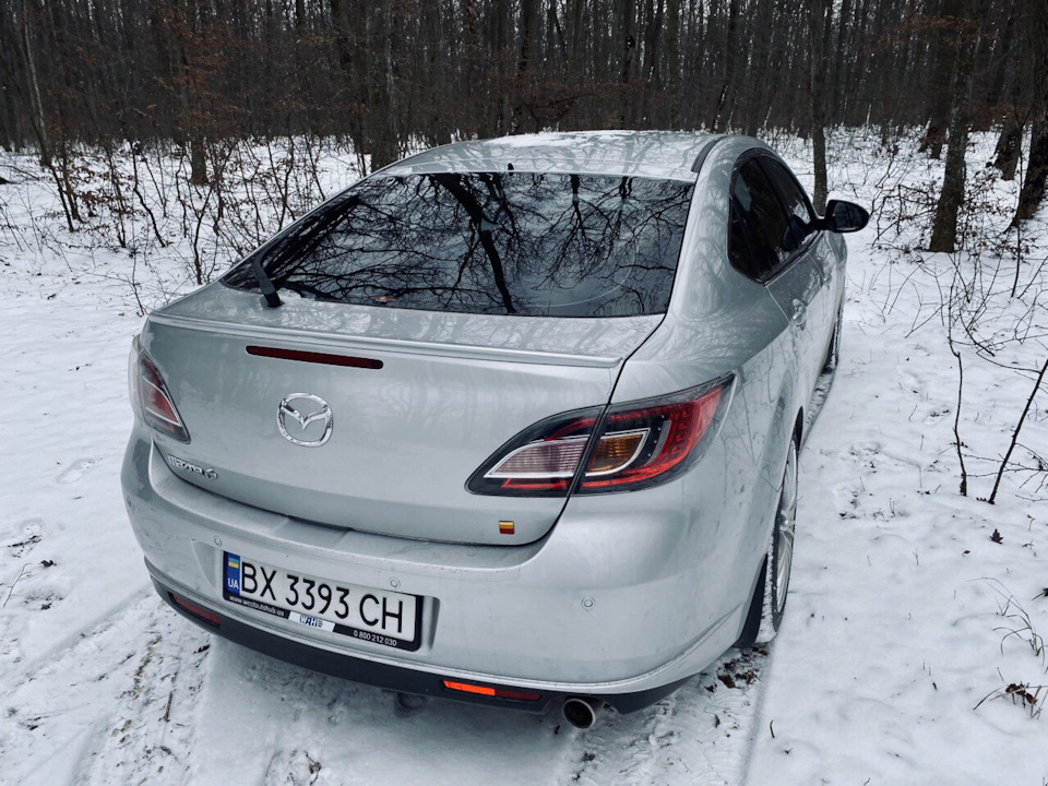 У ліс на прогулянку 3