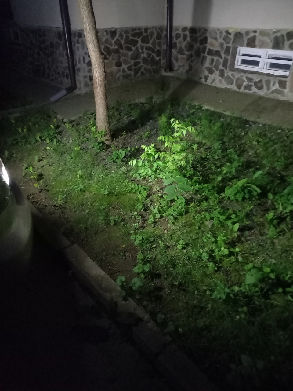 Світло заднього ходу 5